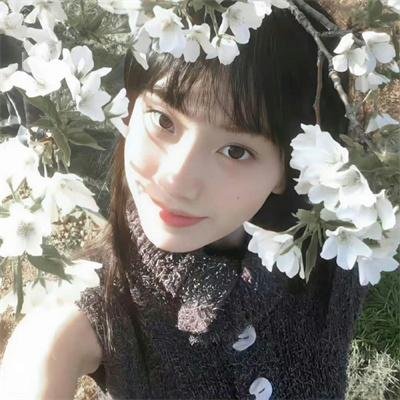 青春火花